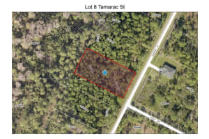 LOT 8 TAMARAC STREET, EUSTIS, FL 32736 - MLS#MFRO6305779