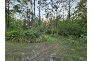 LOT 8 TAMARAC STREET, EUSTIS, FL 32736 - MLS#MFRO6305779