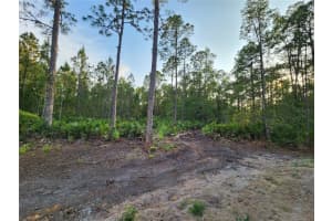 LOT 8 TAMARAC STREET, EUSTIS, FL 32736 - MLS#MFRO6305779