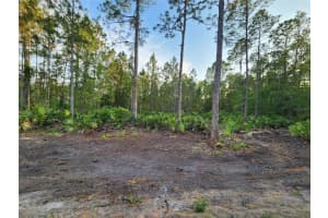 LOT 8 TAMARAC STREET, EUSTIS, FL 32736 - MLS#MFRO6305779