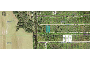 CALLIANDRA DR, INDIAN LAKE ESTATES, FL 33855 - MLS#MFRO6305914