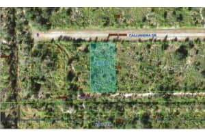 CALLIANDRA DR, INDIAN LAKE ESTATES, FL 33855 - MLS#MFRO6305914