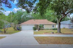 618 MEADOW PARK DRIVE, MINNEOLA, FL 34715 Sold 07/28/25