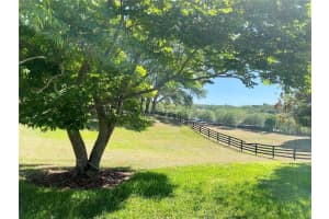 30732 LIPIZZAN TERRACE, MOUNT DORA, FL 32757 Sold 06/11/25