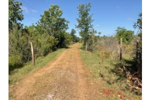 14630 ANGUS ROAD, POLK CITY, FL 33868 Sold 06/09/25