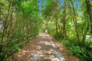 8816 TREVARTHON ROAD, ORLANDO, FL 32817 - MLS#MFRO6306218