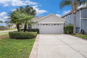 3319 Thistledown Ln, LAND O LAKES