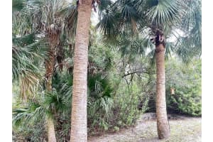 ARLEY RD, NORTH PORT, FL 34288 - MLS#MFRO6306466