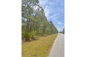 00 ORTEGA STREET, ORLANDO, FL 32833 - MLS#MFRO6306621