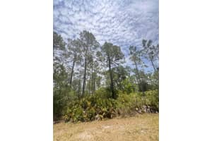 00 ORTEGA STREET, ORLANDO, FL 32833 - MLS#MFRO6306621