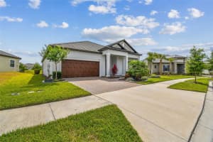 31840 MAGNA GULF LOOP, SAN ANTONIO, FL 33576 Sold 07/03/25