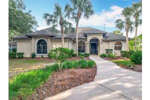 502 Canopy Ln, LADY LAKE