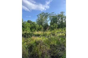 HARVEST LN, KISSIMMEE, FL 34744 - MLS#MFRO6306704