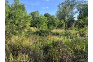 HARVEST LN, KISSIMMEE, FL 34744 - MLS#MFRO6306704