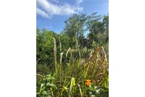 HARVEST LN, KISSIMMEE, FL 34744 - MLS#MFRO6306704