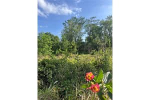 HARVEST LN, KISSIMMEE, FL 34744 - MLS#MFRO6306704