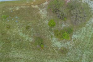 1405 HILLSBOROUGH DRIVE, POINCIANA, FL 34759 - MLS#MFRO6306918