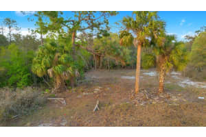 1411 SARASOTA COURT, POINCIANA, FL 34759 - MLS#MFRO6306971