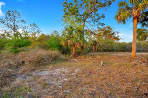 1411 SARASOTA COURT, POINCIANA, FL 34759 - MLS#MFRO6306971