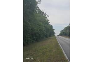 1650 WITHLACOOCHEE TRAIL, DUNNELLON, FL 34434 - MLS#MFRO6307055
