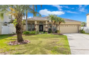 1319 Castleport Rd, WINTER GARDEN