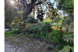 820 BAYOU AVENUE, TARPON SPRINGS, FL 34689 - MLS#MFRO6307483