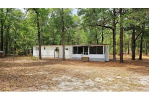 24533 PINK PANTHER ROAD, PAISLEY, FL 32767 - MLS#MFRO6307529