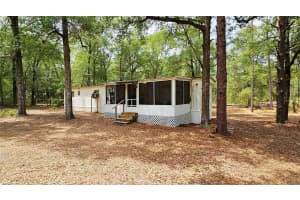 24533 PINK PANTHER ROAD, PAISLEY, FL 32767 - MLS#MFRO6307529