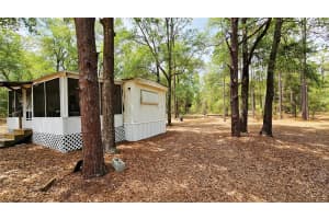 24533 PINK PANTHER ROAD, PAISLEY, FL 32767 - MLS#MFRO6307529