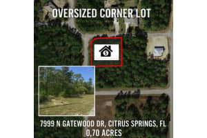 7999 GATEWOOD DRIVE, CITRUS SPRINGS, FL 34433 Sold 06/25/25