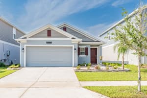 26271 Feathergrass Cir, LEESBURG