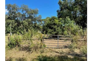 2219 GRANT AVENUE, EUSTIS, FL 32726 Sold 01/20/26