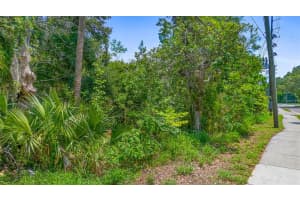 1521 CLARCONA ROAD, APOPKA, FL 32703 Sold 05/29/25