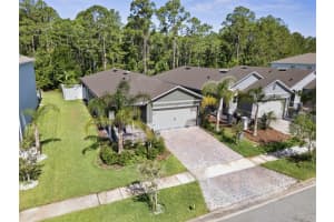 280 Caryota Ct, NEW SMYRNA BEACH
