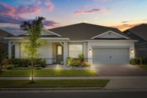 13462 Panama Beach Ct, ORLANDO