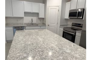 32122 EASTERN REDBUD BRANCH, SAN ANTONIO, FL 33576 - MLS#MFRO6308315