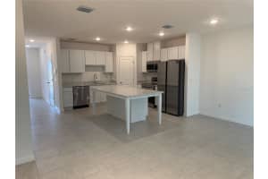 32122 EASTERN REDBUD BRANCH, SAN ANTONIO, FL 33576 - MLS#MFRO6308315