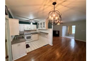 1217 10TH STREET, CLERMONT, FL 34711 - MLS#MFRO6308465