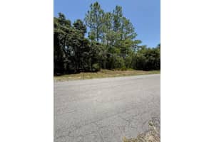 SW 148TH PLACE RD, DUNNELLON, FL 34432 - MLS#MFRO6308769