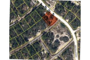 394 SHOWBOAT AVENUE, LAKE PLACID, FL 33852 - MLS#MFRO6308927