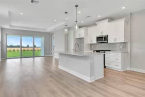 1459 SANTORINI WAY, TAVARES, FL 32778 - MLS#MFRO6309244