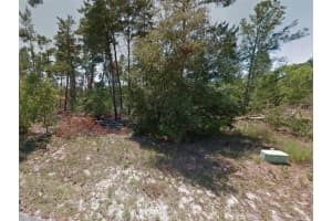 62 GRASS STREET, HOMOSASSA, FL 34446 - MLS#MFRO6309390