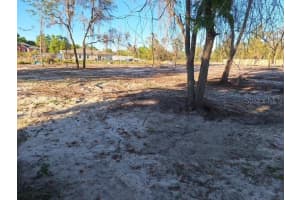 8443 A D MIMS ROAD, ORLANDO, FL 32818 - MLS#MFRO6309415
