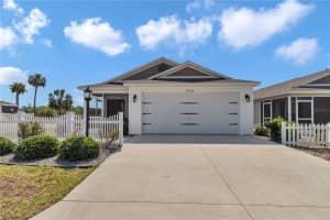 6223 ATKINSON LANE, THE VILLAGES, FL 32163 - MLS#MFRO6309551