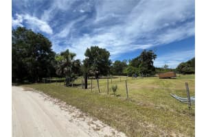850 MENTON ROAD, PIERSON, FL 32180 - MLS#MFRO6309559