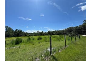 850 MENTON ROAD, PIERSON, FL 32180 - MLS#MFRO6309559