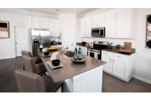 314 PUMA LOOP, GROVELAND, FL 34736 Sold 06/27/25