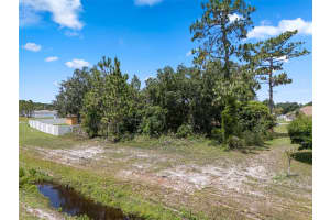 670 COTULLA DRIVE, KISSIMMEE, FL 34758 Sold 07/01/25