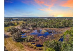 PINE ISLAND ROAD, CLERMONT, FL 34711 - MLS#MFRO6309954