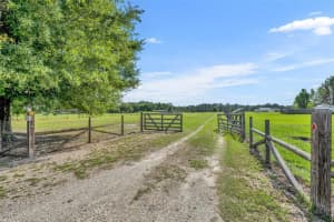 12206 OLD GRADE ROAD, POLK CITY, FL 33868 - MLS#MFRO6310081